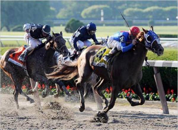 Belmont Stakes 2010