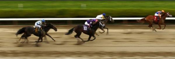 2015 Belmont Stakes Overnight Odds: American Pharoah Still Priced Low at -150 2015 Belmont Stakes Overnight Odds: American Pharoah Still Priced Low at -150
