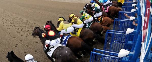 Belmont Stakes Morning Odds - 2015 