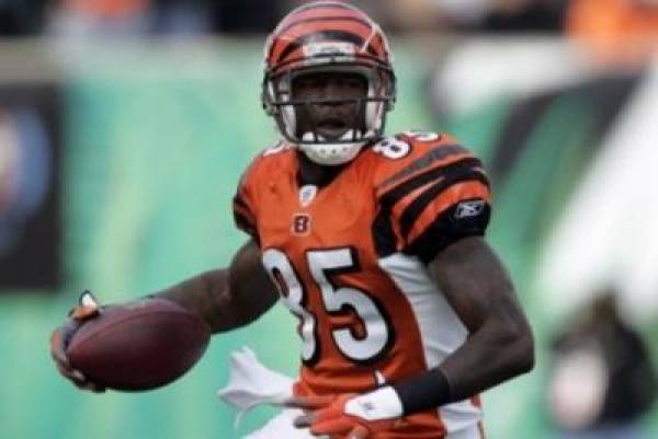 Bengals 2008 Bengals 2008