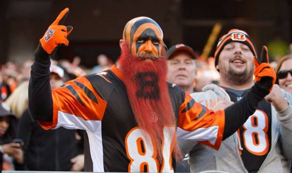 Cincinnati Bengals Super Bowl 50 Odds to Win – Updated Post Season 