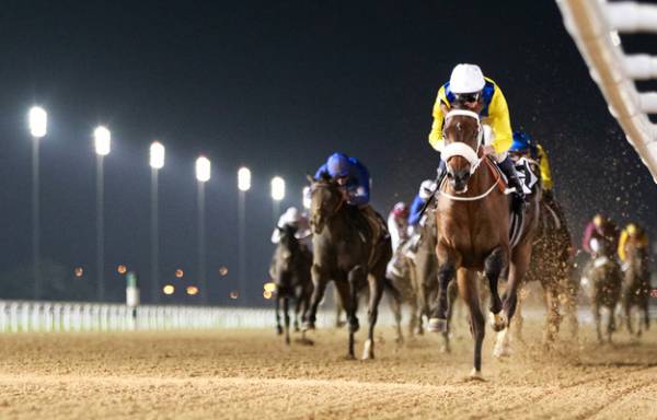 2015 Kentucky Derby Horses That Run Well on Dirt: Mubtaahij, International Star