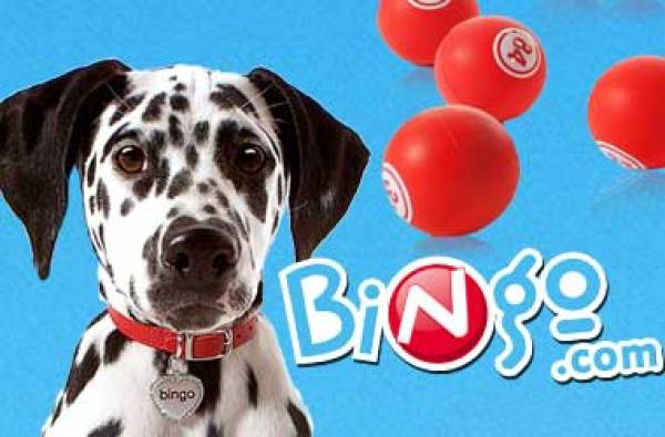 Unibet Buys Bingo.com for $8 Million