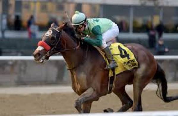What Are the Payout Odds if Blended Citizen Wins the Belmont Stakes? 