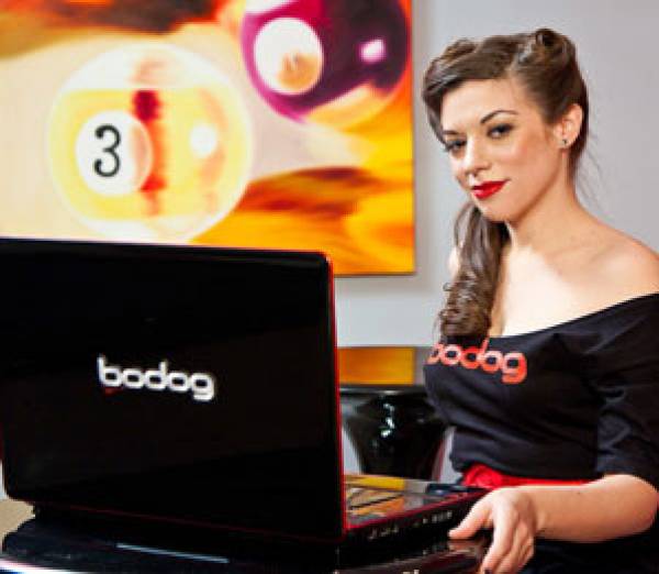 Bodog Poker Software Update