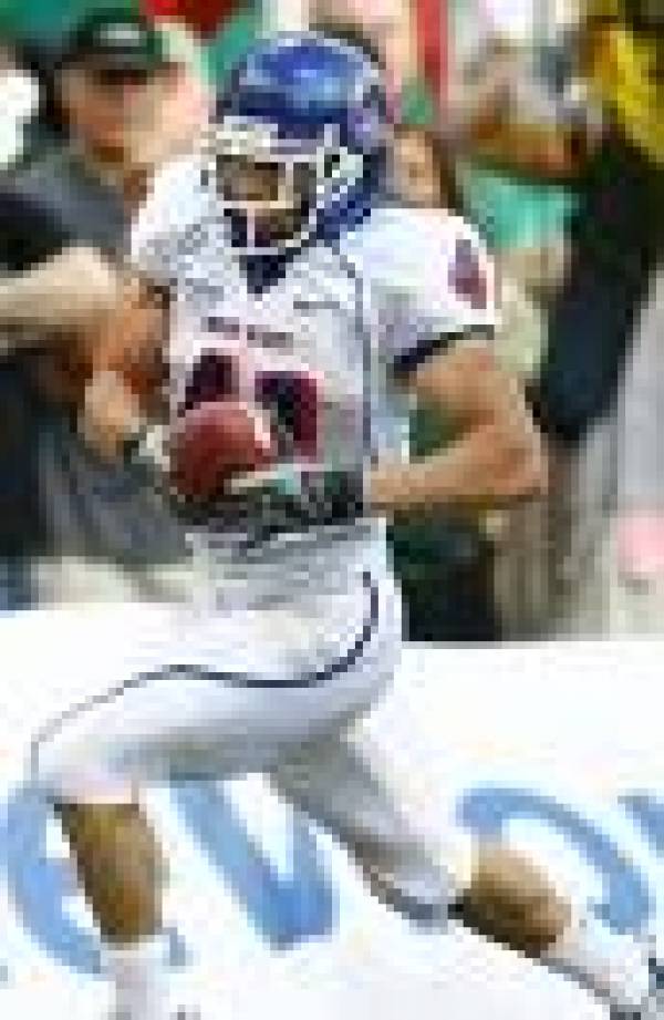 Poinsettia Bowl Poinsettia Bowl