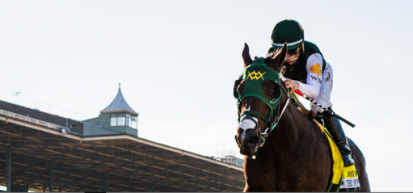 Bolt D'Orbo Odds to Win the 2018 Kentucky Derby