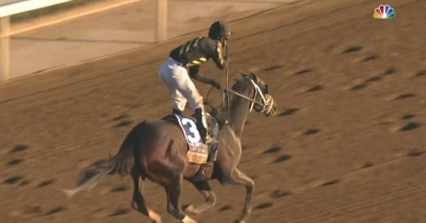 Bourbonic Payout Odds to Win the Kentucky Derby