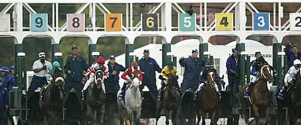 Breeders Cup 2013 Morning Odds