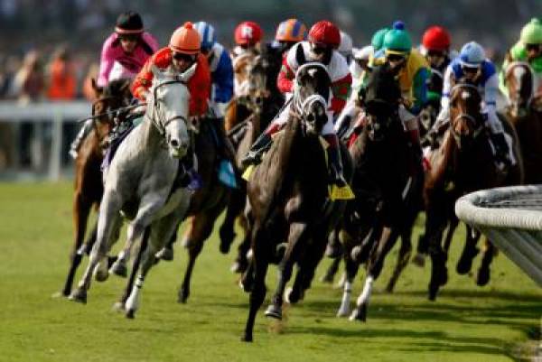 Betting on the Breeders Cup 2011