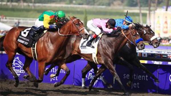 2010 Breeders’ Cup Classic 2010 Breeders’ Cup Classic