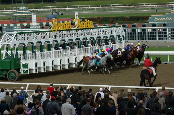 Breeders Cup Classic 2013 Horses That Run Well on Dirt and Those That Don’t Breeders Cup Classic 2013 Horses That Run Well on Dirt and Those That Don’t