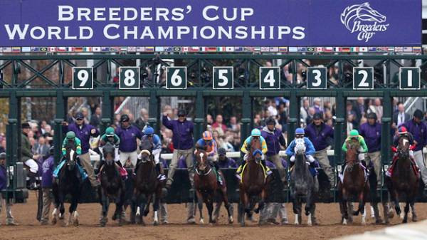 2016 Breeders Cup Classic Weather Forecast: Horses That Run Best on Dirt