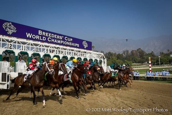 2014 Breeders Cup Post Position Draw: How Much Does It Matter