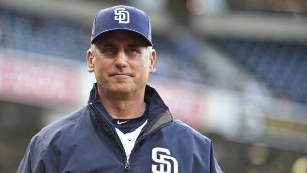 Bud Black to Succeed Don Mattingly as Dodgers Skipper Says Bookmaker
