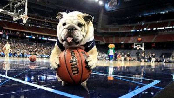 Butler vs. Marquette Betting Line at -2.5 With Bulldogs Getting 70 Percent Action Butler vs. Marquette Betting Line at -2.5 With Bulldogs Getting 70 Percent Actio