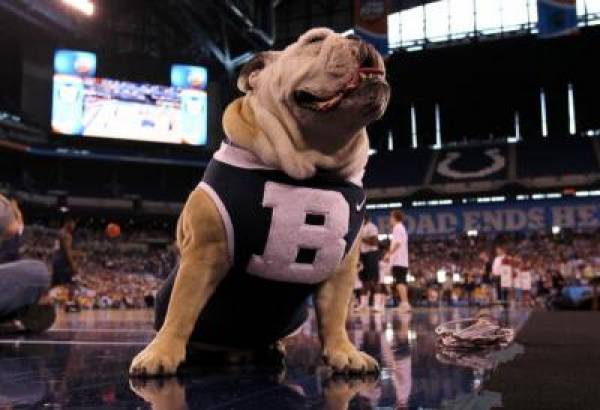 Butler Bulldogs Odds of Winning 2011 NCAA Championship