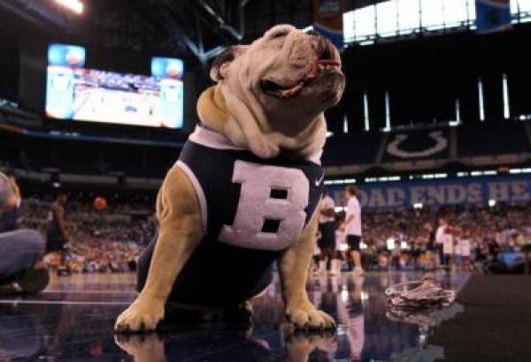 Butler Bulldogs Odds of Winning 2011 NCAA Championship Butler Bulldogs Odds of Winning 2011 NCAA Championship