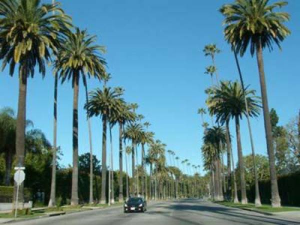 Legalized Online Poker California Legalized Online Poker California