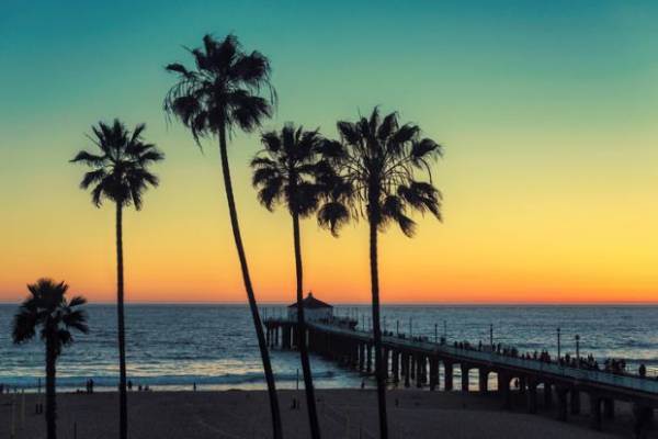 Where Can I Bet the Women's World Cup Final Online From California?