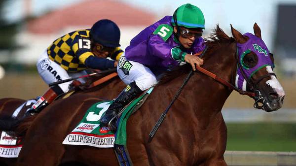 Where Can I Find the Best Payout Odds on California Chrome? 