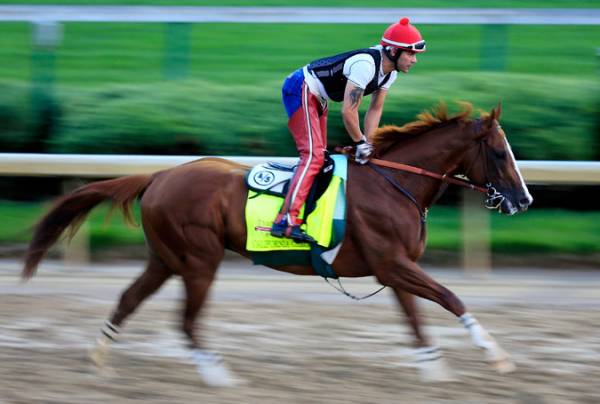 What Was the Friday Morning Line on California Chrome to Win the Kentucky Derby?
