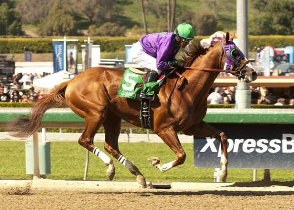 California Chrome Odds to Win the 2014 Kentucky Derby