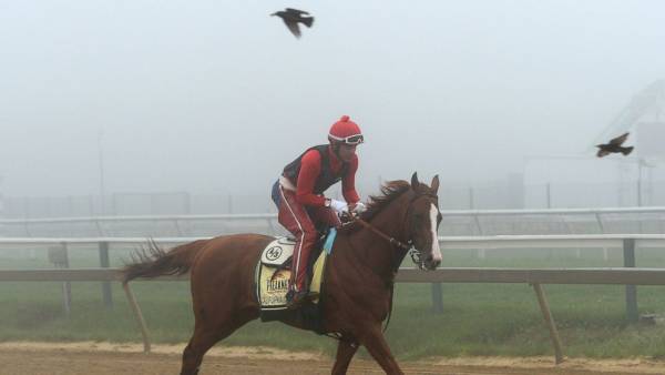 What Could Cause California Chrome to Lose the Preakness?  Any Contenders?
