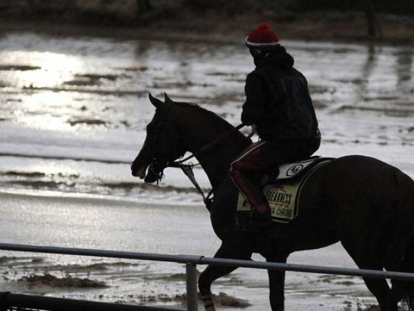 Odds of California Chrome Winning the Triple Crown Now Pay Out $210 Odds of California Chrome Winning the Triple Crown Now Pay Out $210
