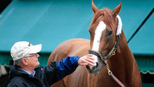 Heavy Betting Action Reported on California Chrome