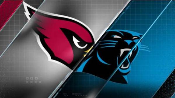 Cardinals vs. Panthers Betting Odds – Top Scoring, First Touchdown, More