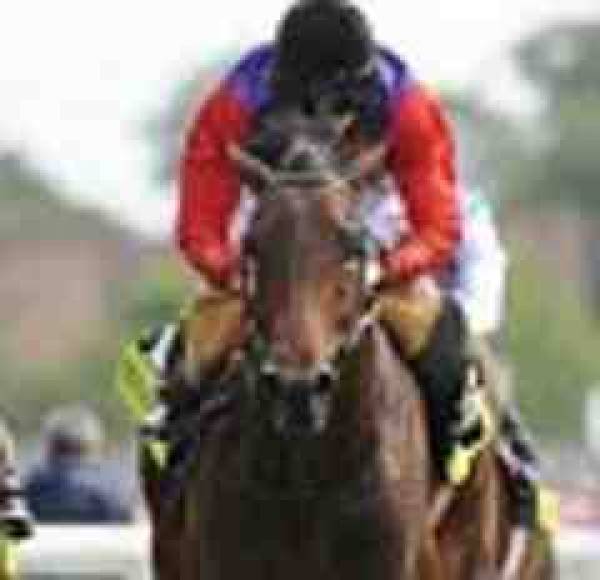 Irish Derby 2011 Morning Odds Irish Derby 2011 Morning Odds