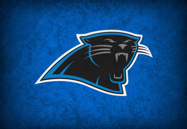 Carolina Panthers Odds to Win 2016 Super Bowl, NFC South