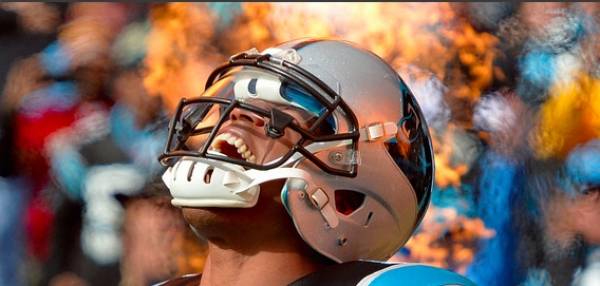 Carolina Panthers Odds of Going Undefeated in 2015-2016 