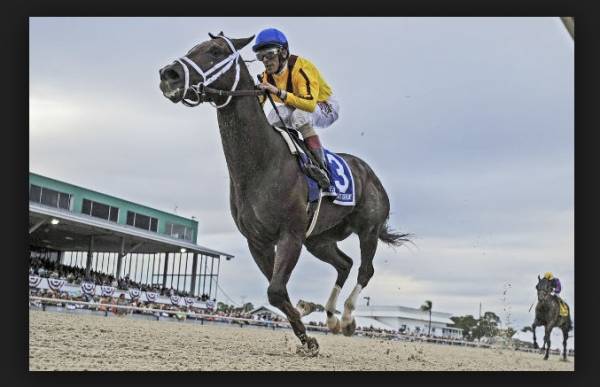 Kentucky Derby 2015 Contenders – Carpe Diem – Latest Odds Kentucky Derby 2015 Contenders – Carpe Diem – Latest Odds