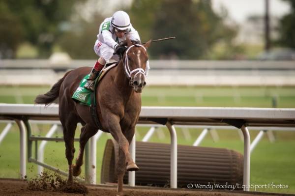 Odds to Win the 2014 Juvenile Breeders Cup 