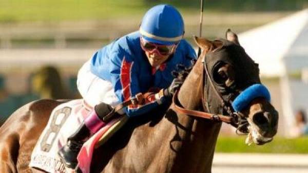 Chantal Sutherland Odds to Win Breeders Cup Classic 2011