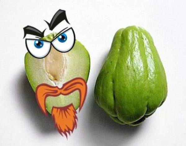Chayote Chayote