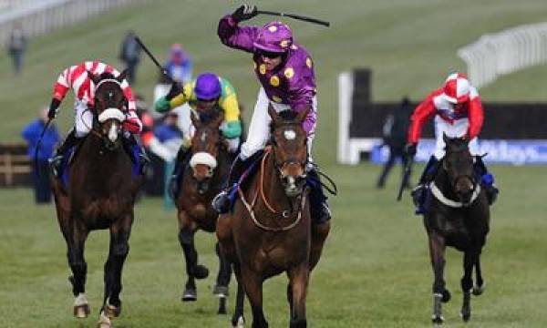 2012 Cheltenham Festival Betting Odds