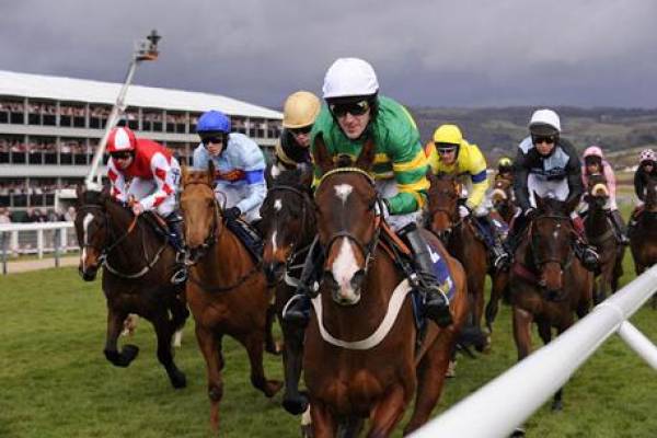 Cheltenham Festival 2016 Betting Odds