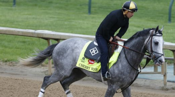 Cherry Wine Payout Odds to Win Preakness 