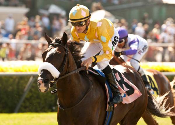 Chitu Odds to Win Kentucky Derby: Has Speed but Plenty of Baggage Too Chitu Odds to Win Kentucky Derby: Has Speed but Plenty of Baggage Too