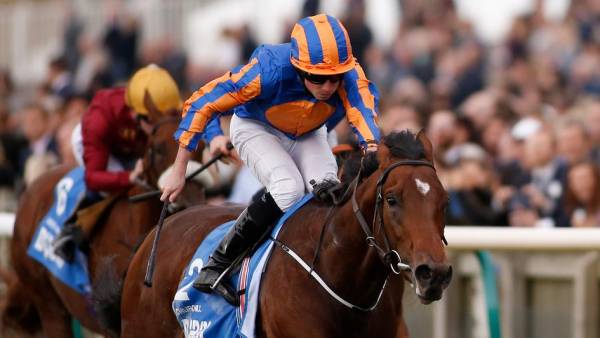 2000 Guineas Betting Odds – 2017: Churchill the Favorite