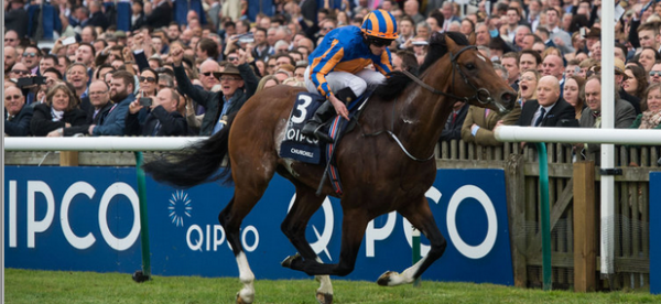 Irish 2000 Guineas Betting Odds 2017: Churchill, Thunder Snow Favorites