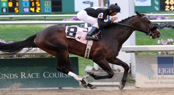 Cigar Street Odds to Win the BC Cup Classic