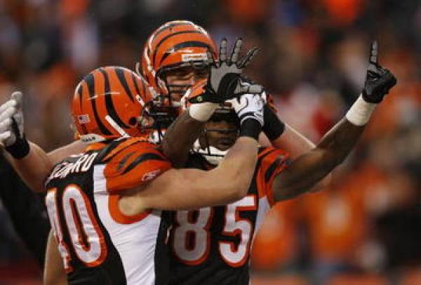 Bengals T.O.