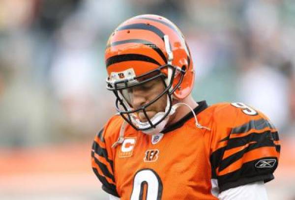 Bengals vs. Texans Betting Line:  Wildcard Playoffs 2013