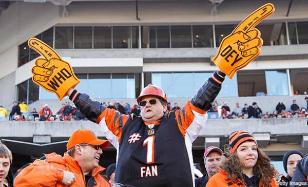 Cincinnati Bengals Odds to Win 2014 AFC North