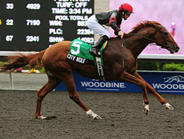 2012 Autumn Stakes Betting Odds – Woodbine November 10