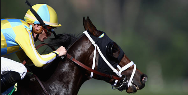 What Will the Payout Be If Classic Empire Wins the Preakness Stakes?